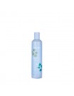 Echosline Balance + Plus shampoo 300ml per cute e capelli grassi