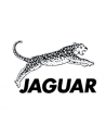 Jaguar Forbici